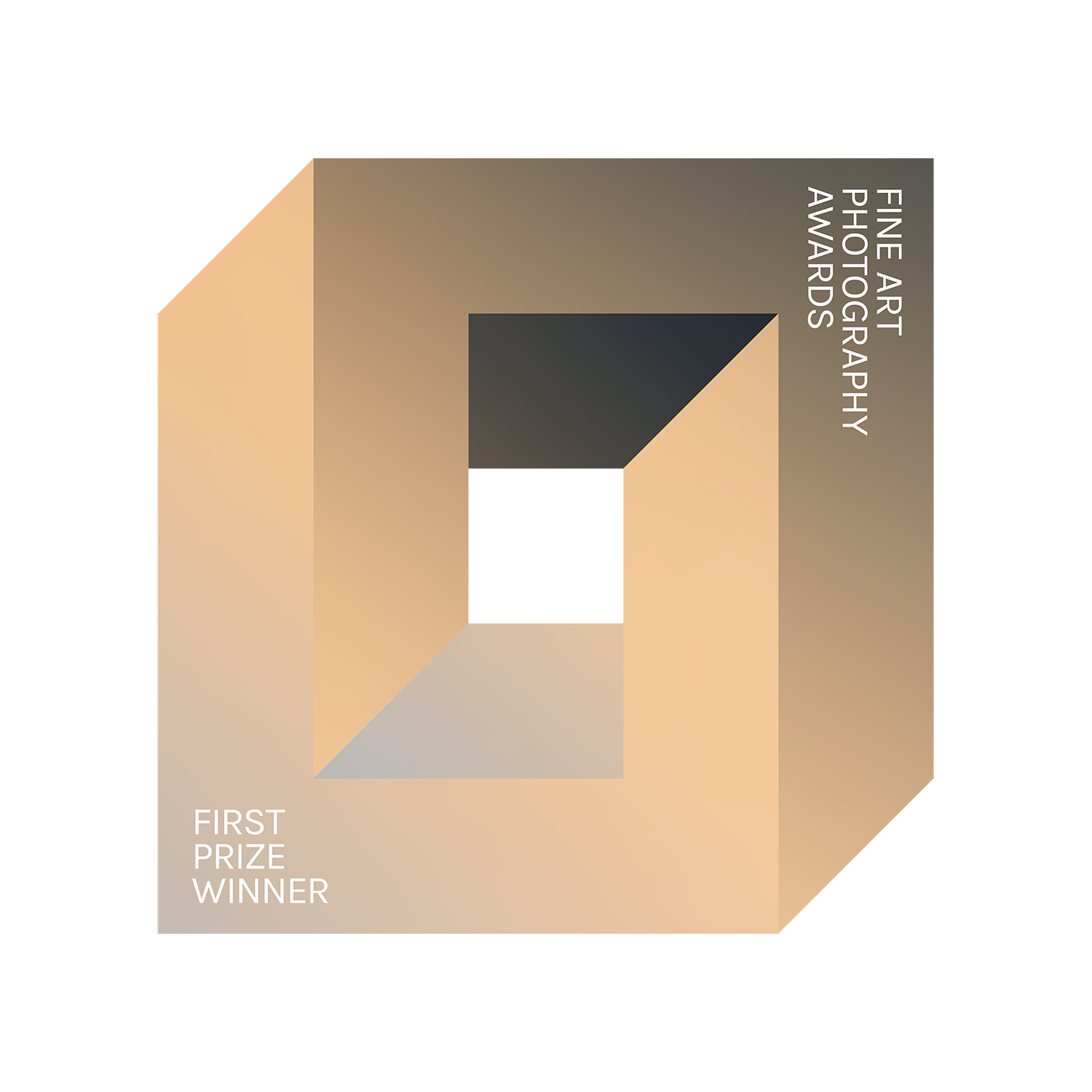 FAPA 2022 Grand Prize