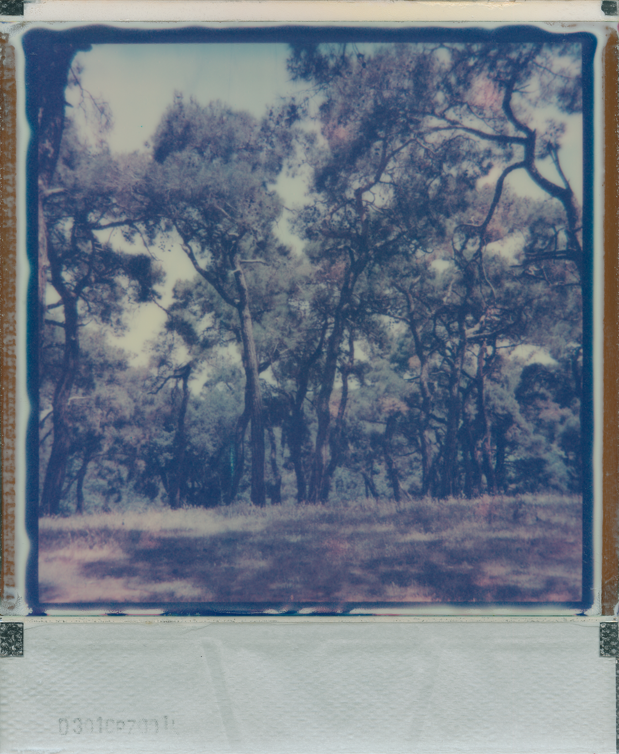 I think I heard something