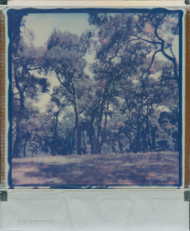 I think I heard something