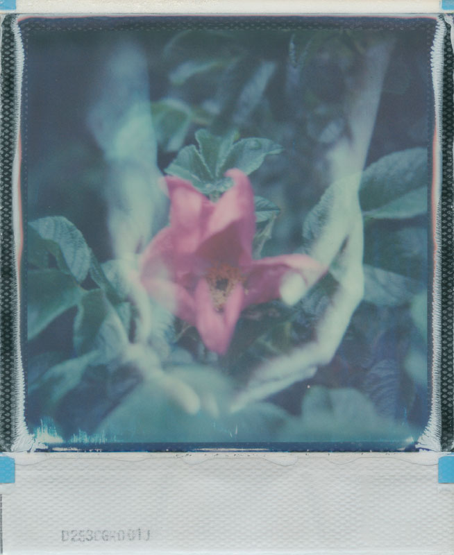 Can you see there's more