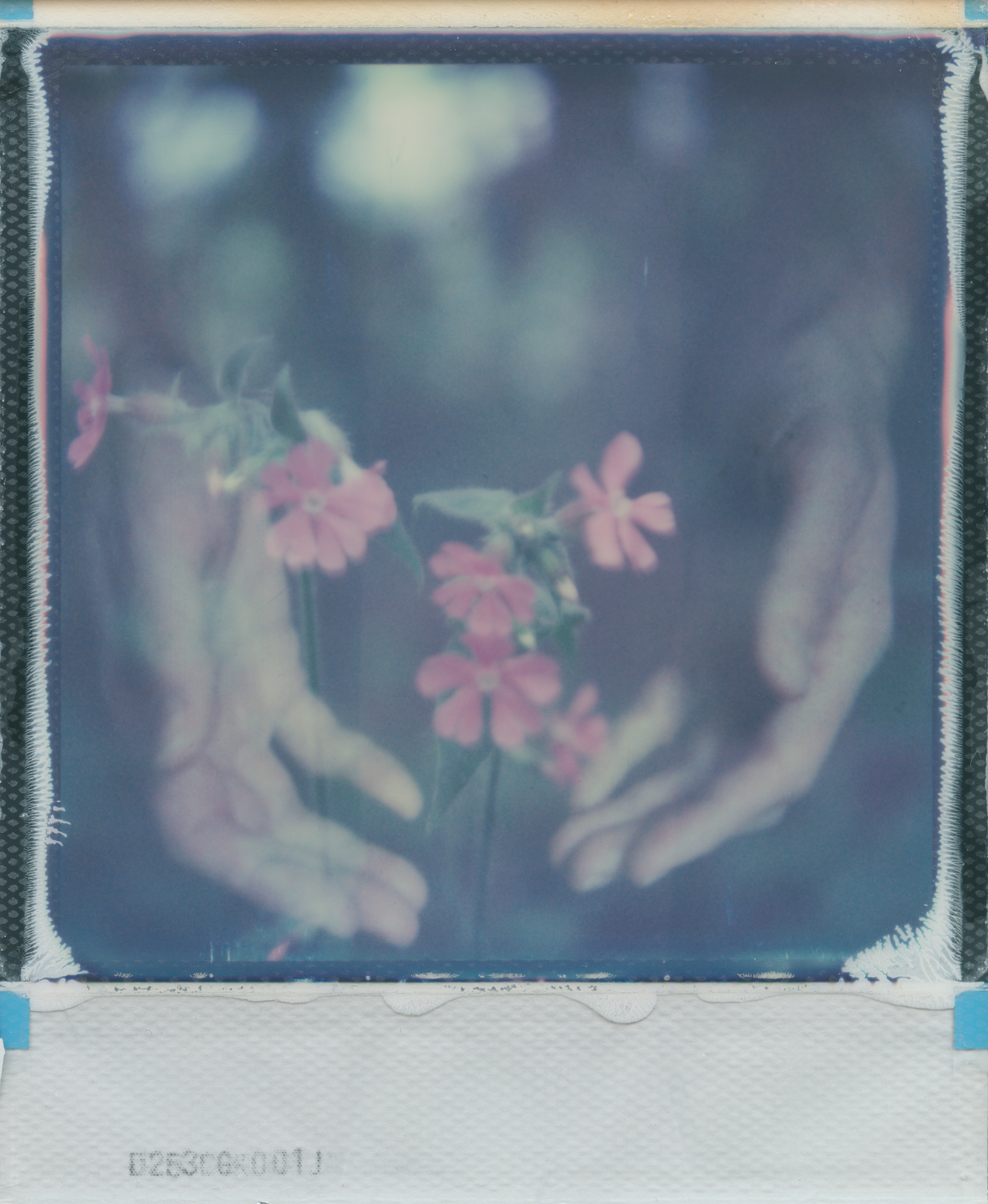 Somewhere in between