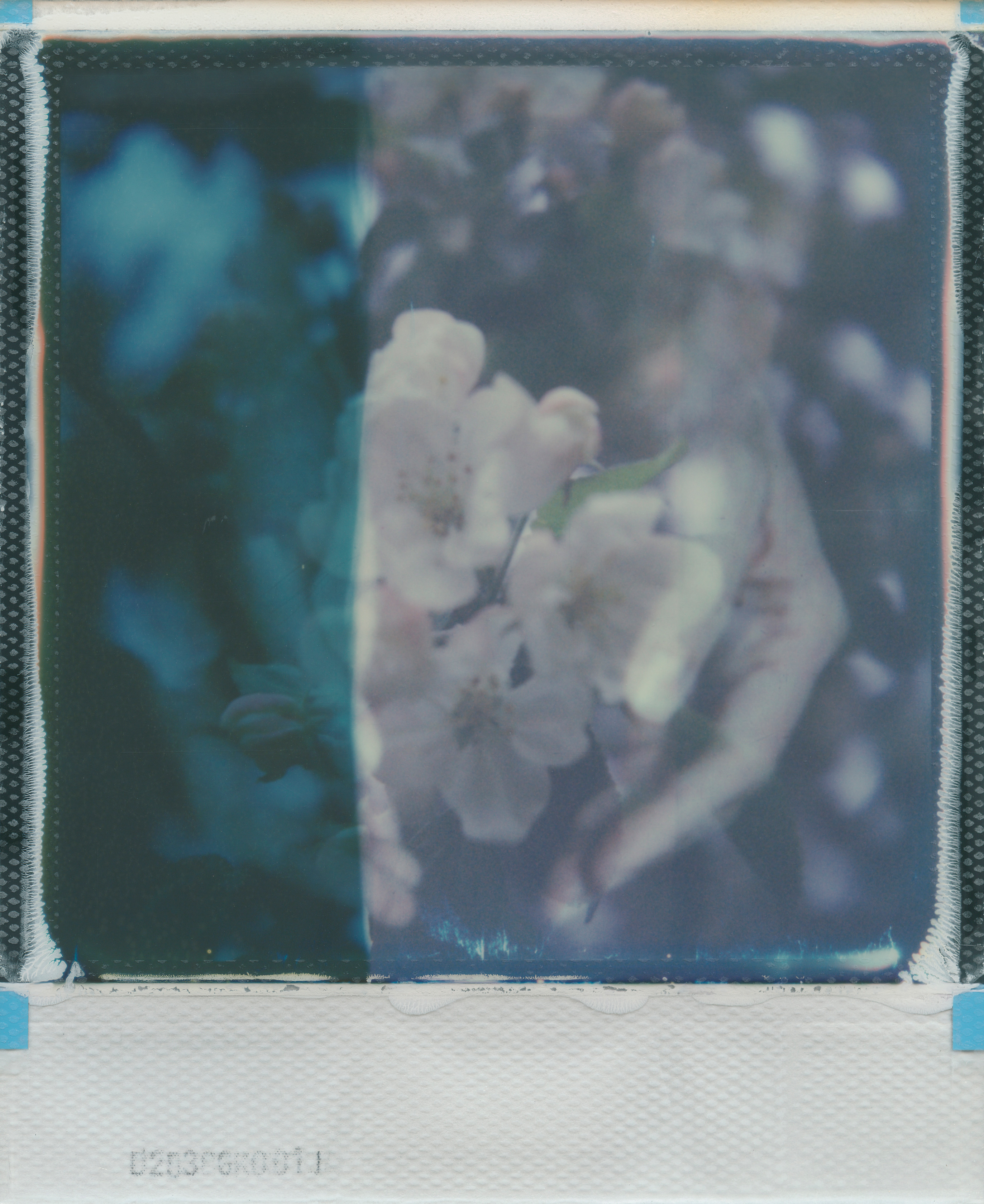 There is some kind of magic