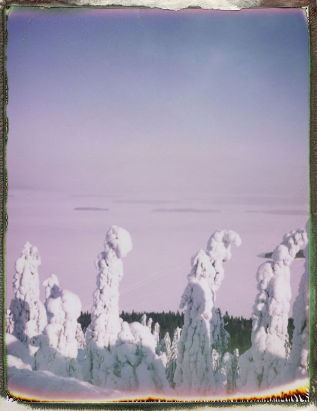 Dreams I can't forget