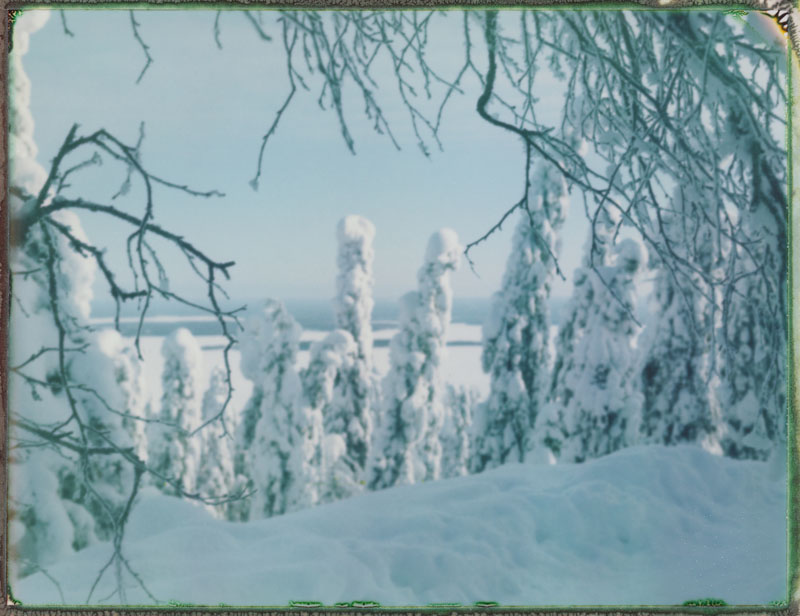 Everything I didn't say