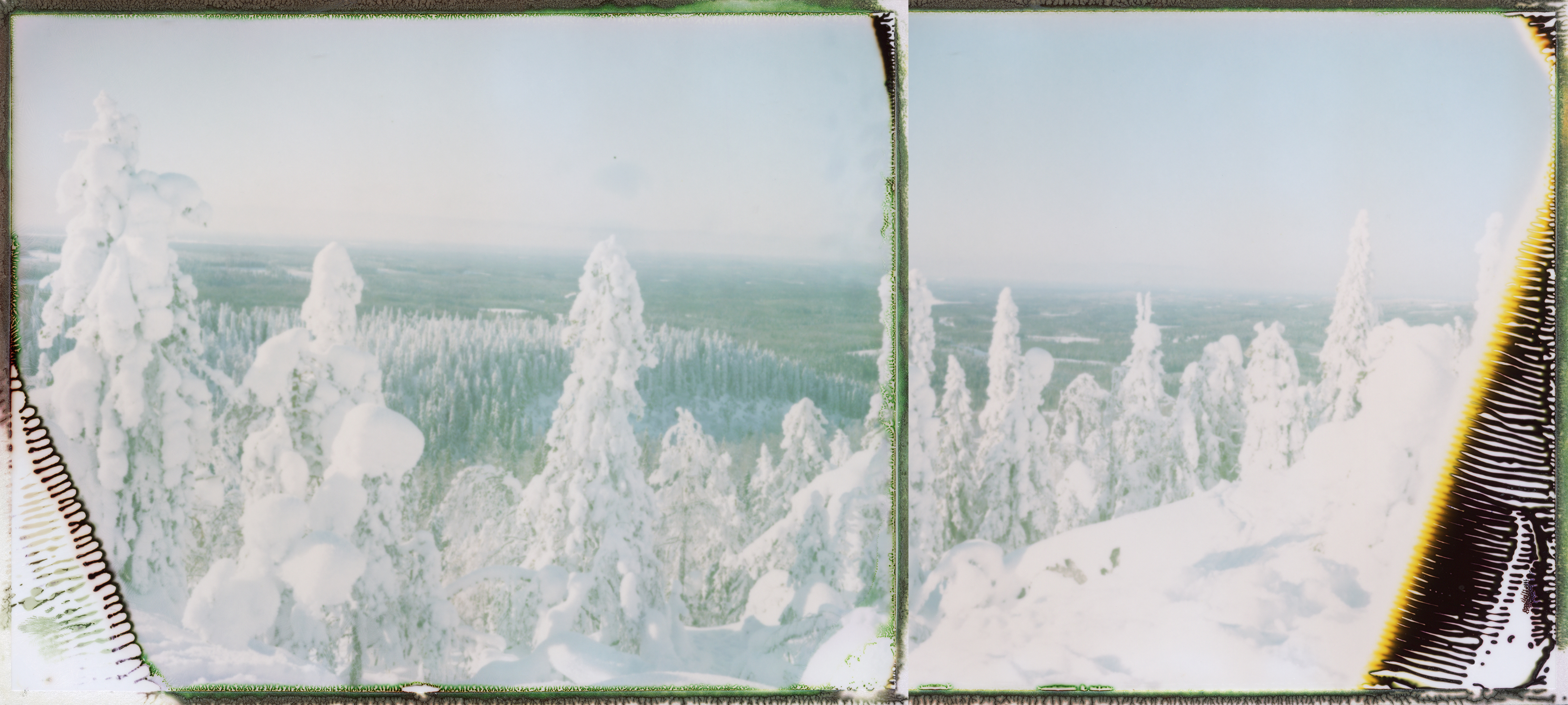 I have never felt this way