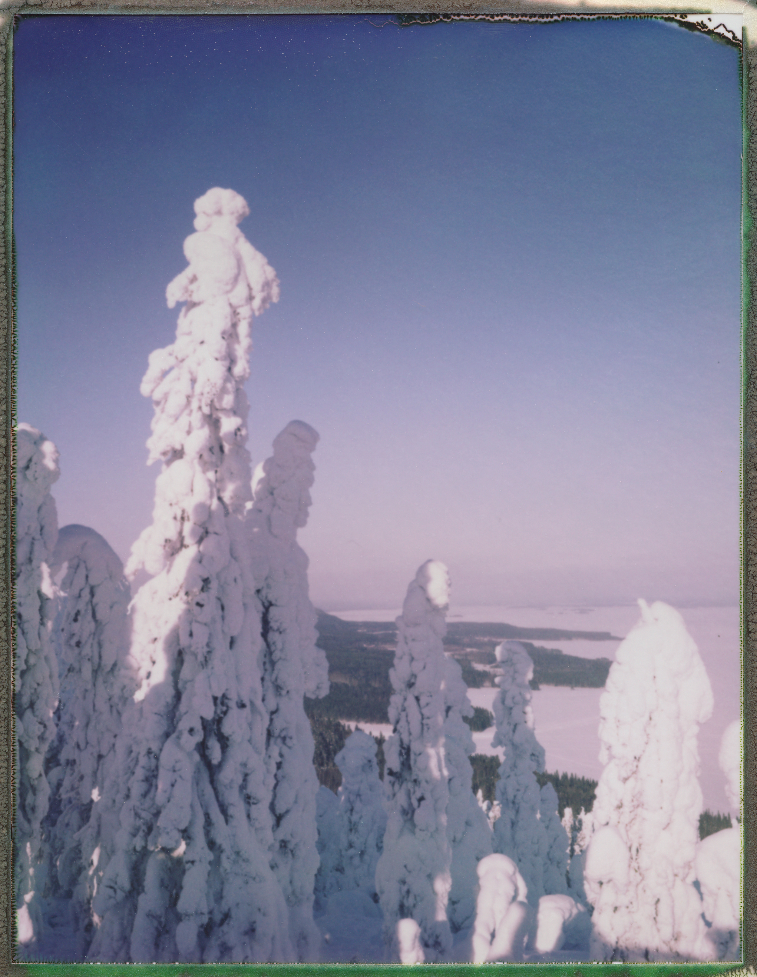 In The Heart of Winter