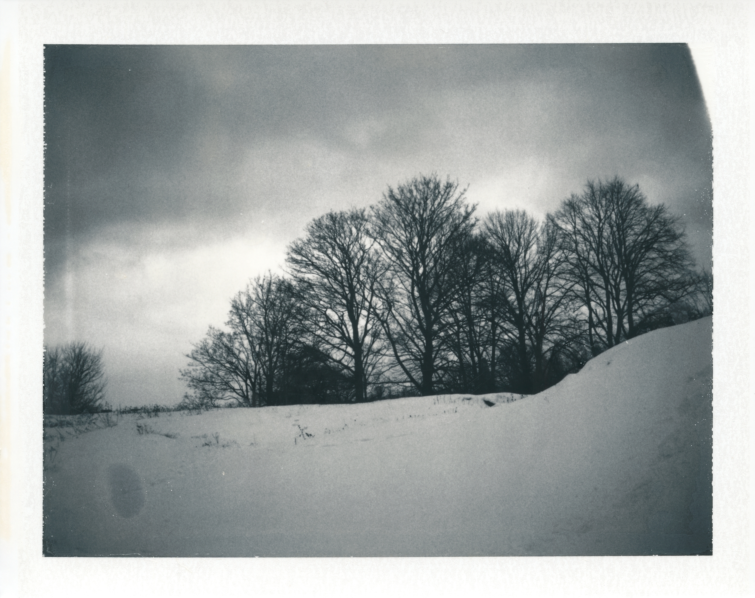 and I dreamed of the sun