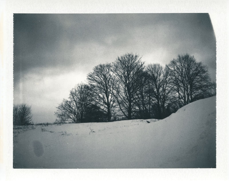 and I dreamed of the sun