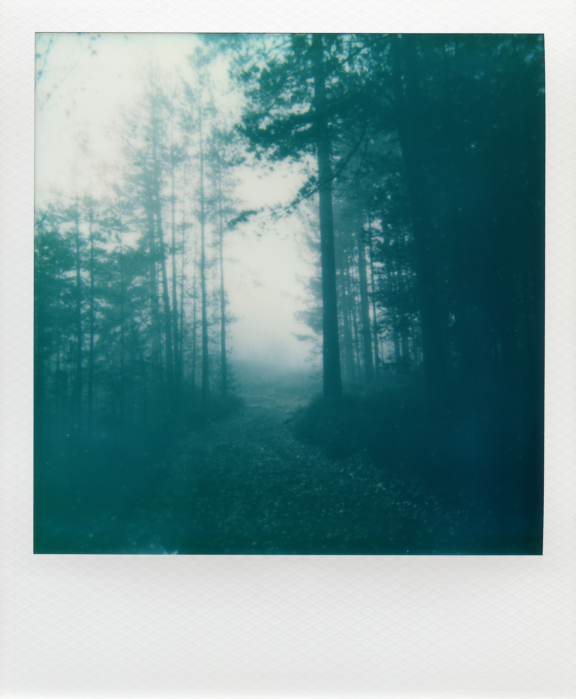 In a blanket of time