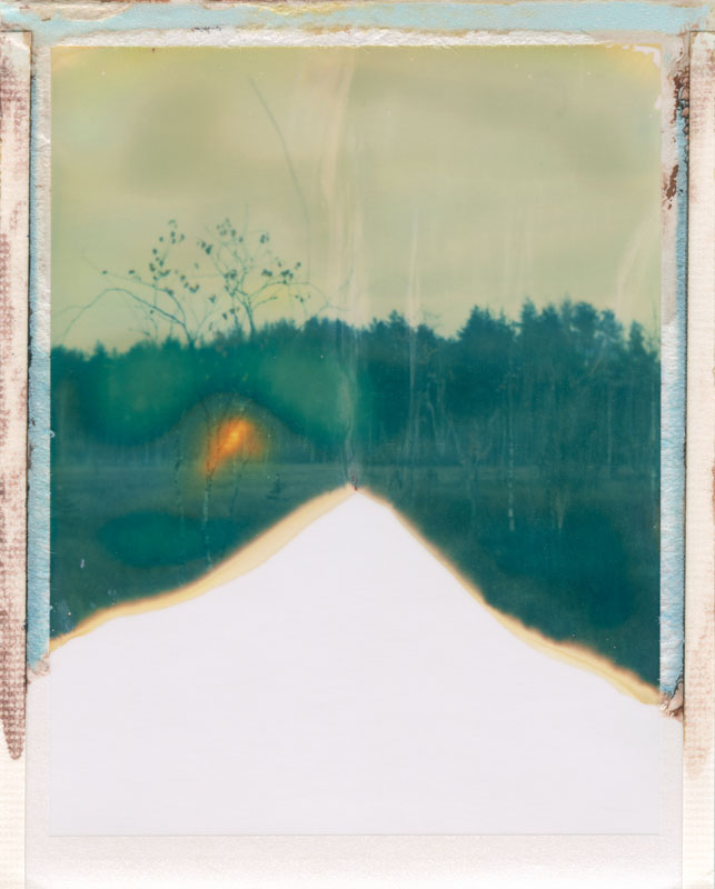 I may have dreamt it