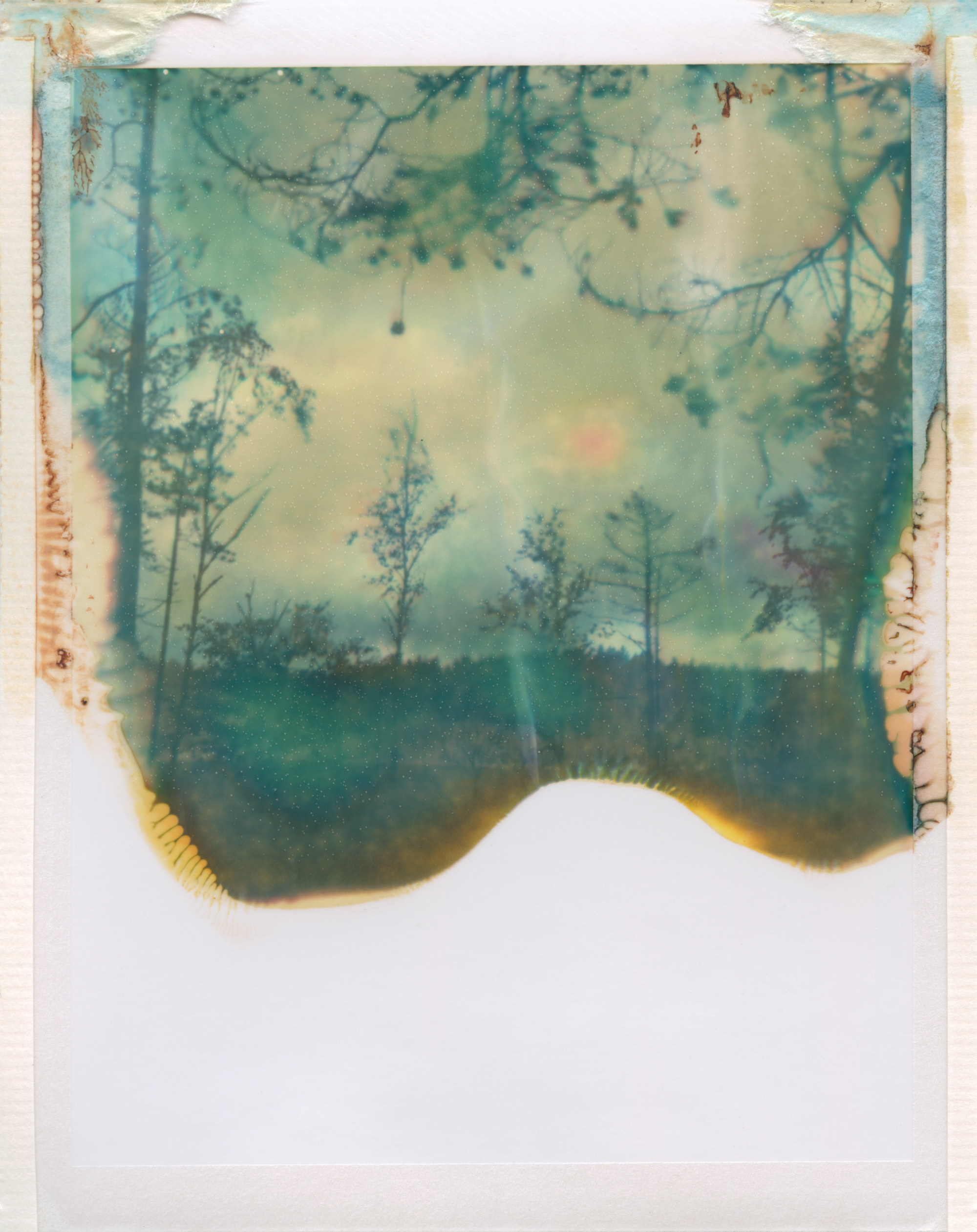 I want to dance with fireflies