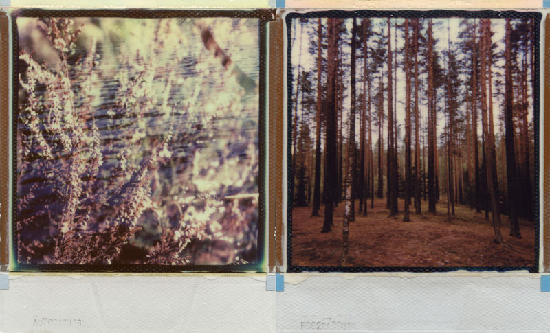 looking back and searching for the answer