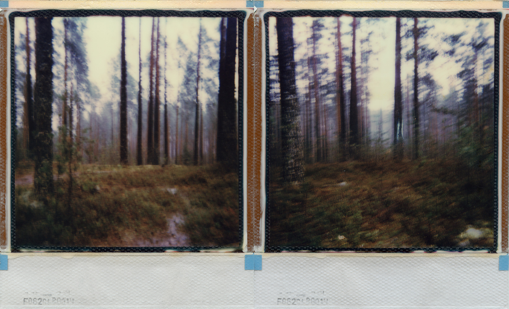 and there's nothing but the illusion of light and you