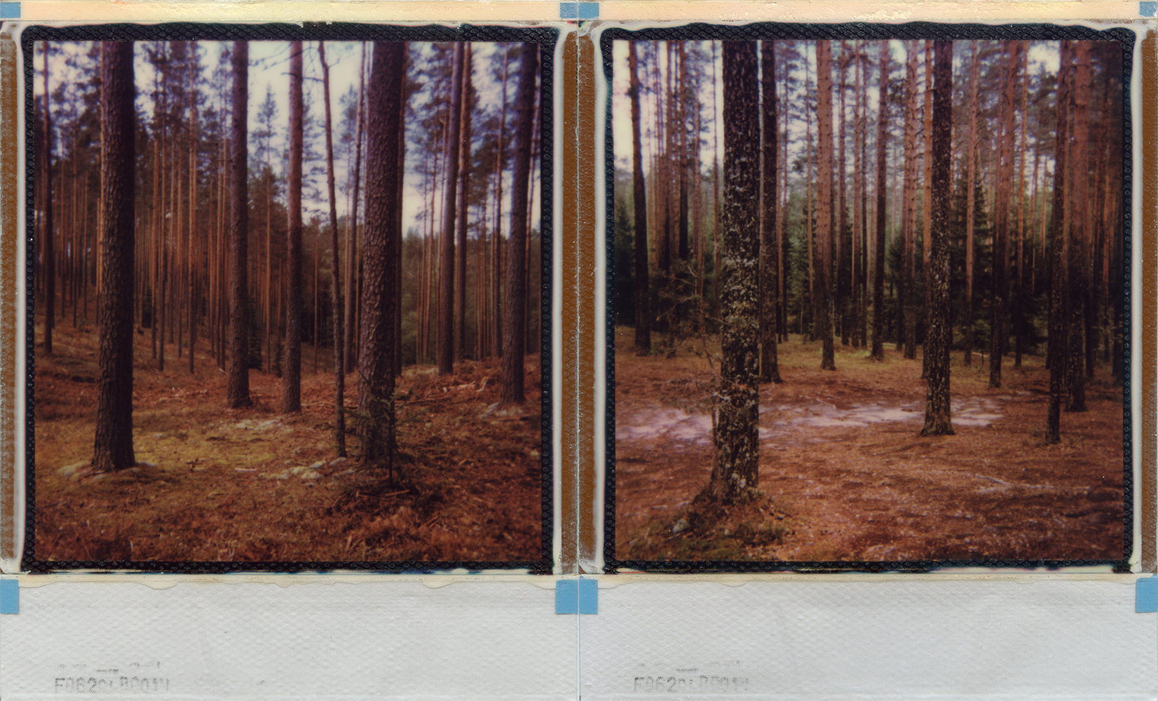 I reached out to see if you're still here with me but there was only silence