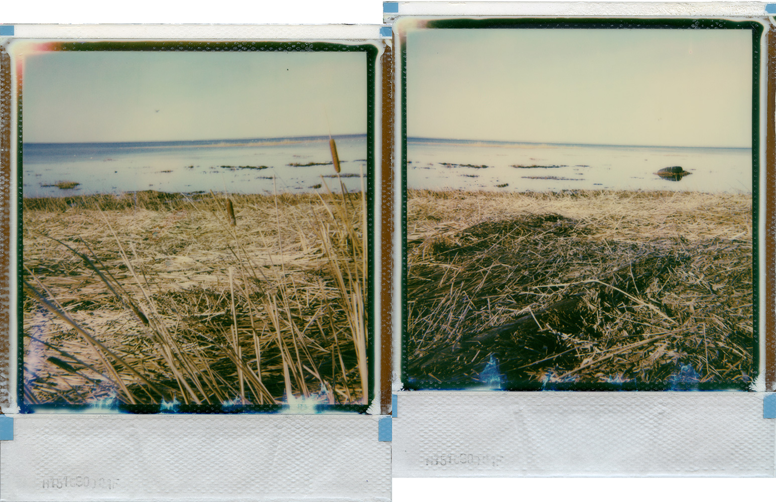 I waded through the sea looking for your broken heart