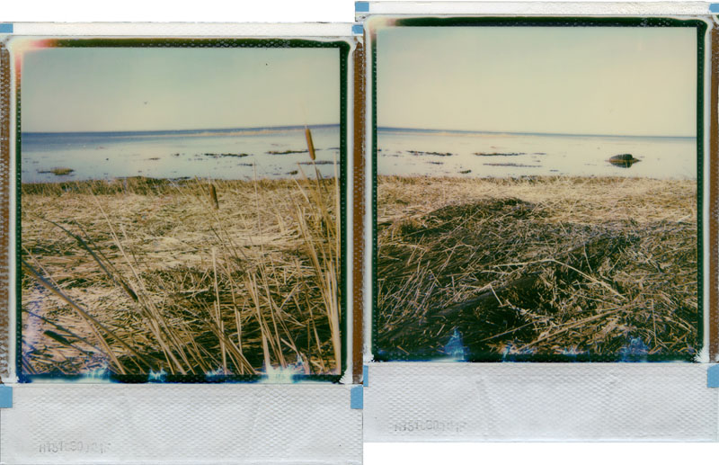 I waded through the sea looking for your broken heart