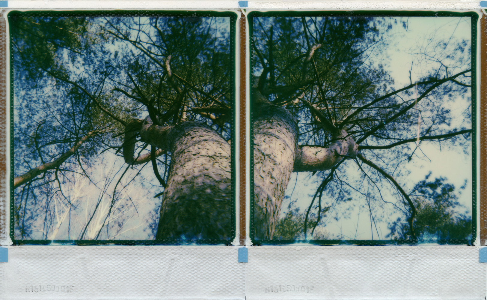 I could not see if I were you or you were me and all I could hear was wind