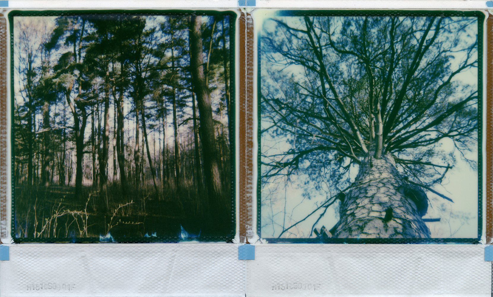 I stood right there waiting for a sign to walk away