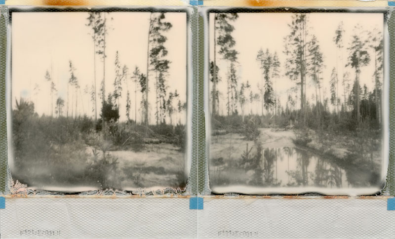 suddenly I wake up from this dream and I think I'm getting used to this silence now