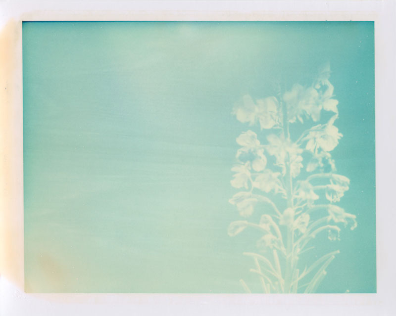 So I could find home again